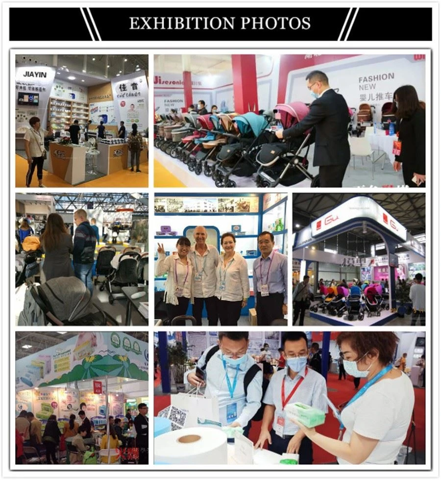 Exhibition Photos