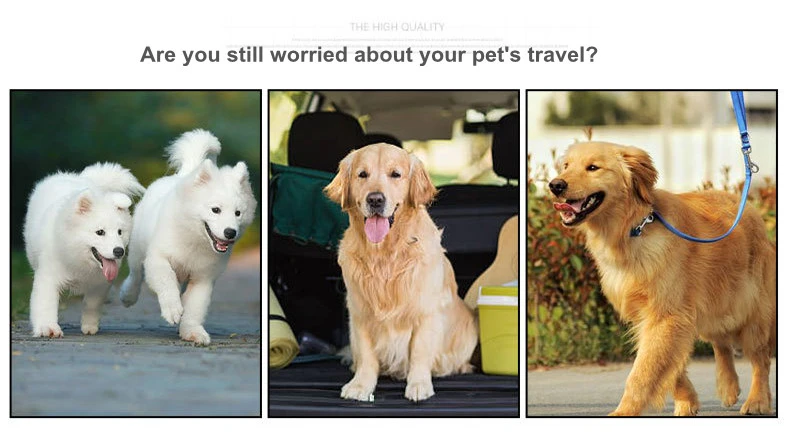 twin pet stroller